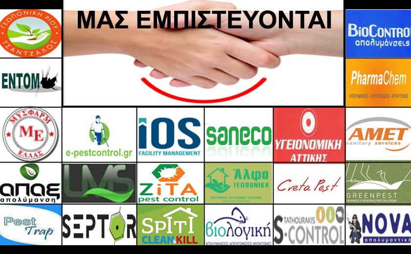 Εμπιστευθείτε τους Επαγγελματίες για την Καταπολέμηση των Κοριών